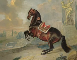 Il cavallo baio scuro 