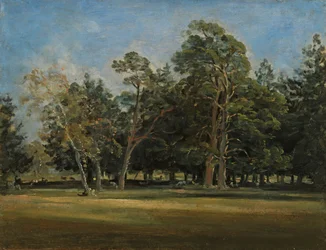 Il parco dei cervi a Monaco