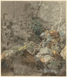 Cascate in una Foresta di Montagna