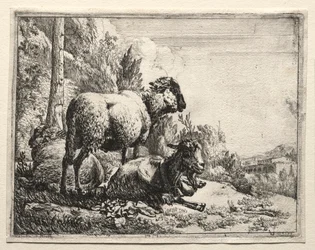 Capra con campanello