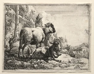 Capra con campanello, 1665