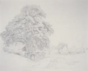 Primavera fredda