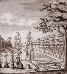 Illustrazione di una scena di giardino, 1753