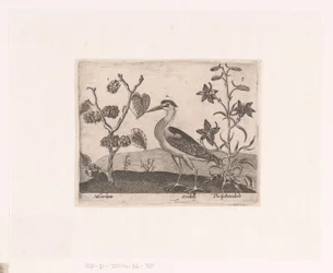 Serie di Stampe con Fiori e Animali in un Paesaggio, Paesaggio con airone e delphinium, dalla serie 
