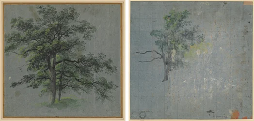 Due alberi (recto) Studi di alberi (verso)