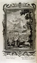 Varietà bibliche di pecore