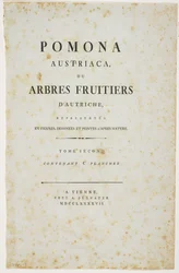 Pagina del titolo da 