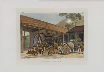 Il mulino da zucchero. Da Malerische Reise in Brasilien, 1830-1835