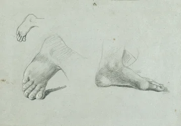 Studio di piede
