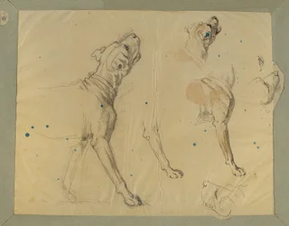 Studio di cane per "Il ritorno del miliziano" (1820)