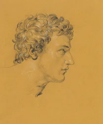 Studio di una testa