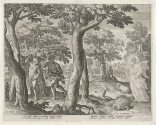 La caduta dell
