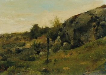 Paesaggio di prato con rocce