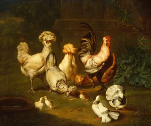 Pollame in un paesaggio
