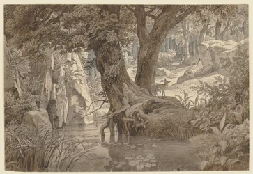 Paesaggio boschivo