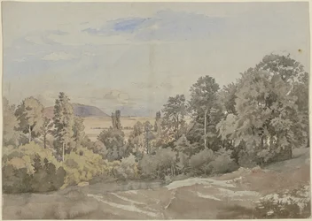 Bosco con vista lontana