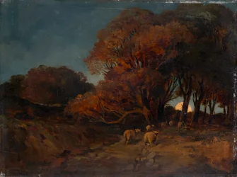 Bosco autunnale al chiaro di luna