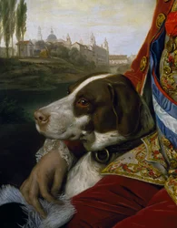 Cane, (dettaglio) da un ritratto di Ferdinando di Borbone, Duca di Parma