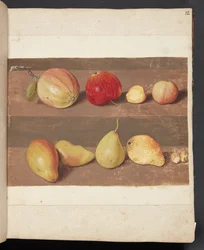 Studio di mele e pere