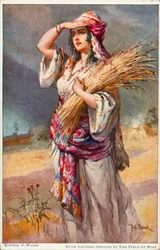 Ruth raccoglie spighe nel campo di Boaz