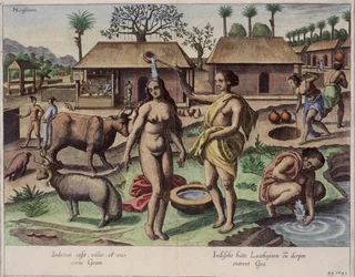 Vita a Goa, illustrazione da 