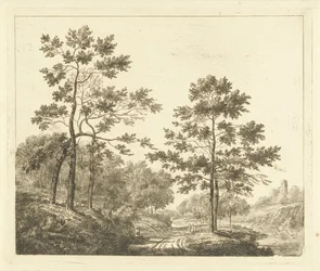 Sentiero boschivo in paesaggio collinare