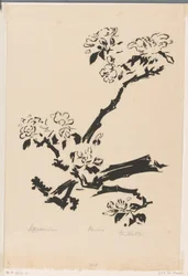 Fiori di melo
