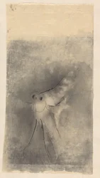 Pesce luna