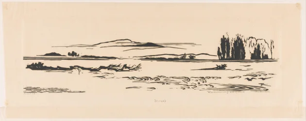 Estuario del fiume N. N. Guinea