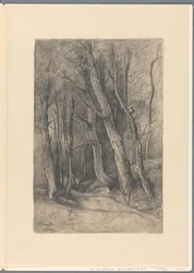 Paesaggio Boscoso presso Delden