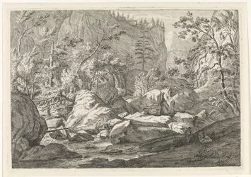 Burrone con massi e alberi