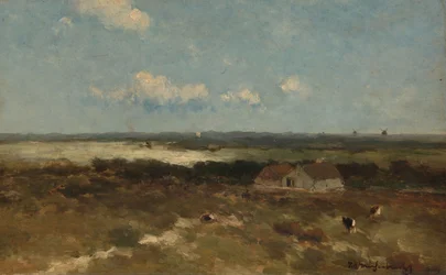 Paesaggio dunale