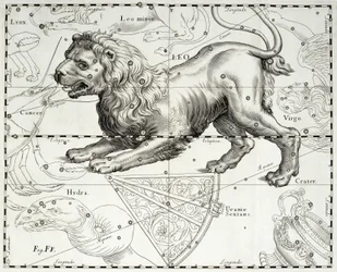 Leone, costellazione zodiacale del Leone, illustrazione tratta dall