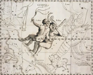 La costellazione dei Gemelli, illustrazione dal Firmamentum Sobiescianum sive Uranographia, di Johann Hevelius (1611-1687), Danzica 1690