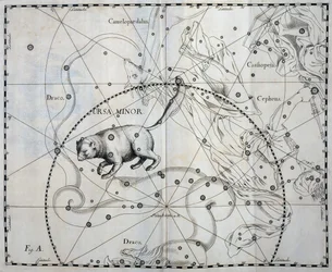 Orsa Minore, costellazione boreale dell