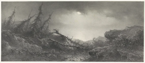 Dopo la tempesta