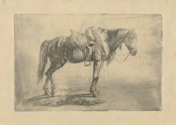 Cavallo sellato verso destra