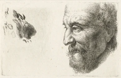 Ritratto di un vecchio di profilo