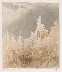 Rovina tra gli alberi