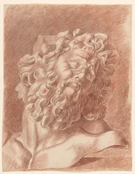 Studio accademico del gesso del Laocoonte: studio della testa