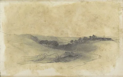 Paesaggio collinare con alberi