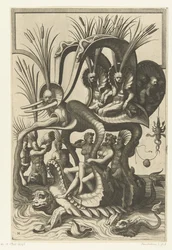 Tartaruga d