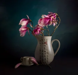 Elegante natura morta con magnolia