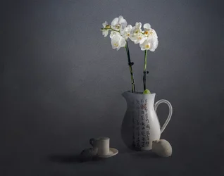 Elegante natura morta con orchidee