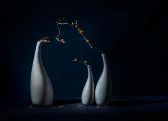 Vasi eleganti con fiori