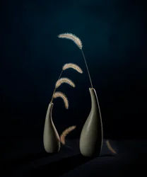 Vasi botanici Moody