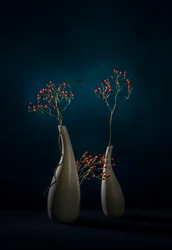 Vasi moderni "Red Berries"