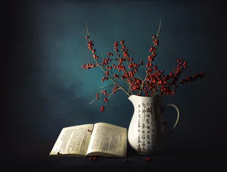 Bacche invernali e un libro