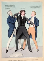Un elefante selvaggio condotto tra due addomesticati, pub. 1830