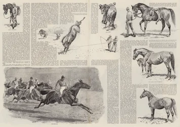 La carriera di un cavallo da corsa (incisione)
